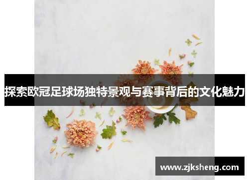 探索欧冠足球场独特景观与赛事背后的文化魅力