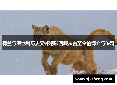 荷兰与奥地利历史交锋精彩回顾从古至今的博弈与传奇